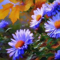 Осенняя красота :: Людмила Смородинская