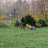 Дама с собачкой :: Валерий Пославский