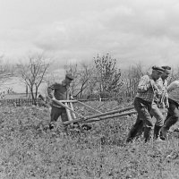 Вот мчится тройка удалая... :: Владимир Хиль