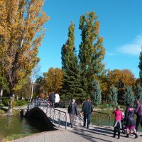 Отдых в парке :: Валентин Семчишин