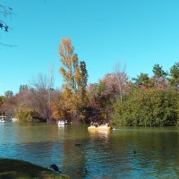 Пейзажи  Гагаринского парка :: Валентин Семчишин