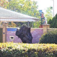 Медведь :: Юрий Гайворонскiий