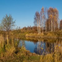 Осень не сдаётся 2 :: Андрей Дворников