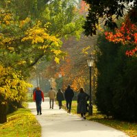Лихтентайлер аллея ,ноябрь :: Юрий. Шмаков