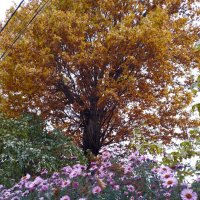 *** :: Валентина Береснева