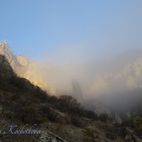 Природа Крыма :: Amazing Cosmea