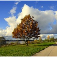 Впереди ноябрь... :: Aleksandr Gal