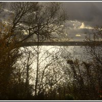 *** :: Aleksandr Gal *** :: Aleksandr Gal