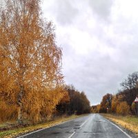 Осенняя дорога :: Inna Galkina