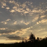 Лучи :: Ольга Савельева 