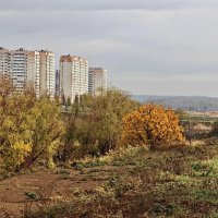 Ростовские зарисовки :: Александр Гапоненко