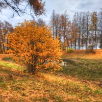 *** :: Сергей Григорьев