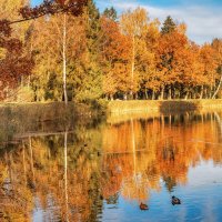 Осень :: Владимир Колесников Осень :: Владимир Колесников