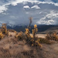 Осенние огоньки :: Марина Фомина.