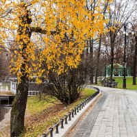 В парке :: Александр 