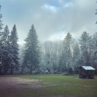 Припорошило.. :: Татьяна 