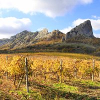 Золотая балка :: Геннадий Валеев