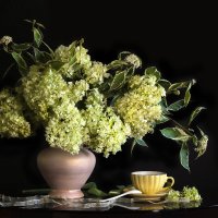 Вечерний чай :: Olenka 