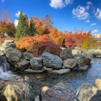 Краснодар. Парк Галицкого . Японский сад :: Galina 