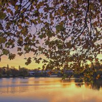 ****** :: Андроник Александр 