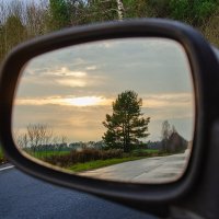 ----- :: Галина Ложечникова