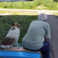 Друзья-товарищи. :: Владимир Волик