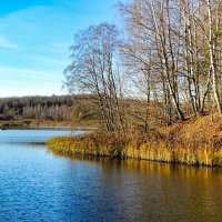 Солнечный ноябрьский вечер. :: Милешкин Владимир Алексеевич 