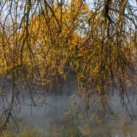 *** :: Игорь Протасов