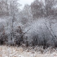 Предзимье :: Евгений Тарасов 