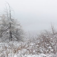 Дыхание зимы :: Евгений Тарасов 