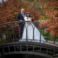 Осенняя свадьба :: Алексей Першин