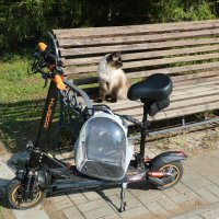 Сима и его ,,космическая капсула для полетов ,, :: Вик Токарев