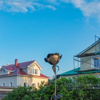 роза :: navalon M роза :: navalon M