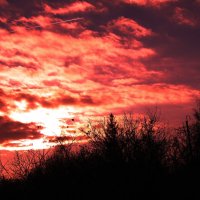 Ноябрьское утро :: Людмила Смородинская