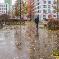 Ноябрь в городе :: Валерий Иванович Ноябрь в городе :: Валерий Иванович