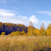 Золотой октябрь. :: Лия ☼ Золотой октябрь. :: Лия ☼