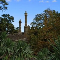 Воронцовский парк. Крым. :: Галина Воронцовский парк. Крым. :: Галина