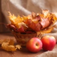 Осенний натюрморт :: Irene Irene