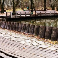 В городском парке. :: Василий Палий