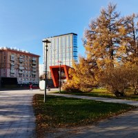 Ноябрь может радовать. :: Василий Палий