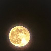 Пытался снять луну с iPhone :: Александр Деревяшкин