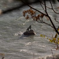 Русалочка. :: Дмитрий А