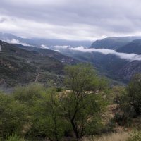 ** :: Александр Липовецкий ** :: Александр Липовецкий