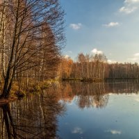 Осень не сдаётся 3 :: Андрей Дворников