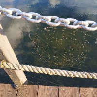 Тема с вариацией :: Андрей Лукьянов