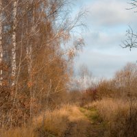 Тропинка :: fogmeadowww m