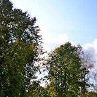 Изборская крепость - главный форпост Средневековой Руси здесь :: Виктор Осипчук