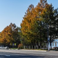 Вот и осень пришла :: Виктор Иванович Чернюк Вот и осень пришла :: Виктор Иванович Чернюк