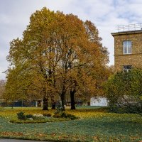 Дерево :: Валерий Пославский Дерево :: Валерий Пославский