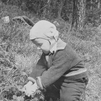 Ягодная полянка :: Андрей Хлопонин Ягодная полянка :: Андрей Хлопонин